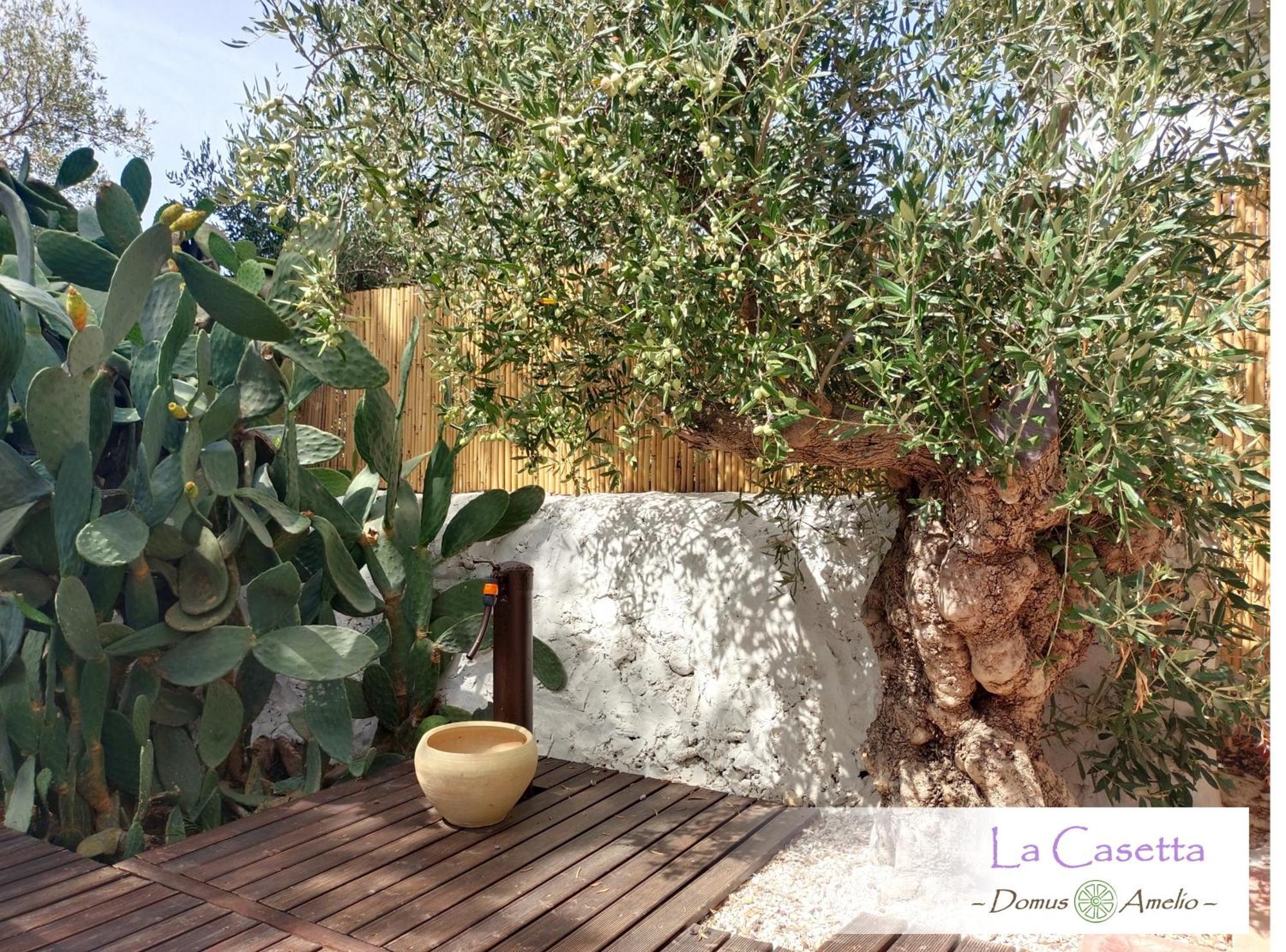 Domus Amelio - Country Rooms Cinisi Exterior photo